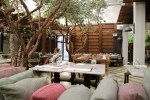cecconis-1
