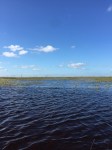 img_0117