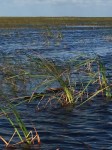 img_0130