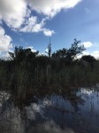 img_0159
