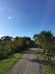 img_0230