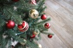 lilikoi-xmas-2