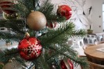 lilikoi-xmas-3