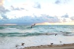 mia-beach-1