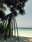 beach1