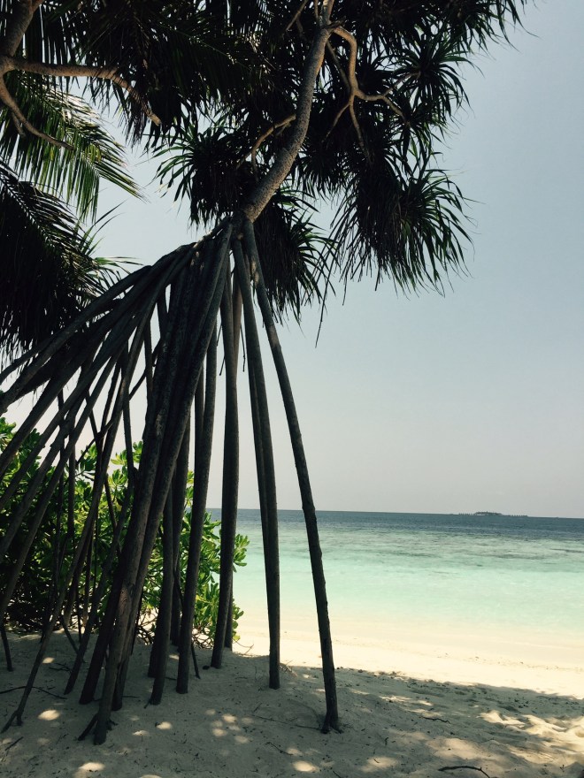 beach1