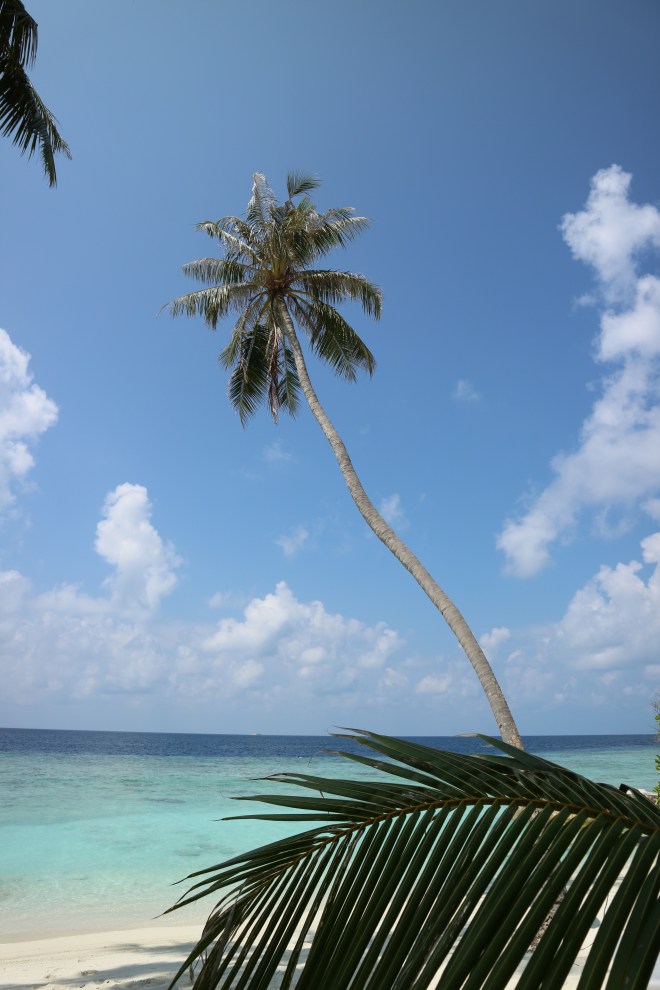 beach11