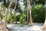 beach8