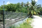 plantage1