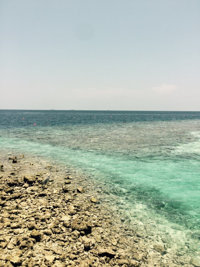 sea3
