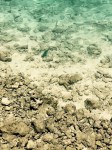 sea5