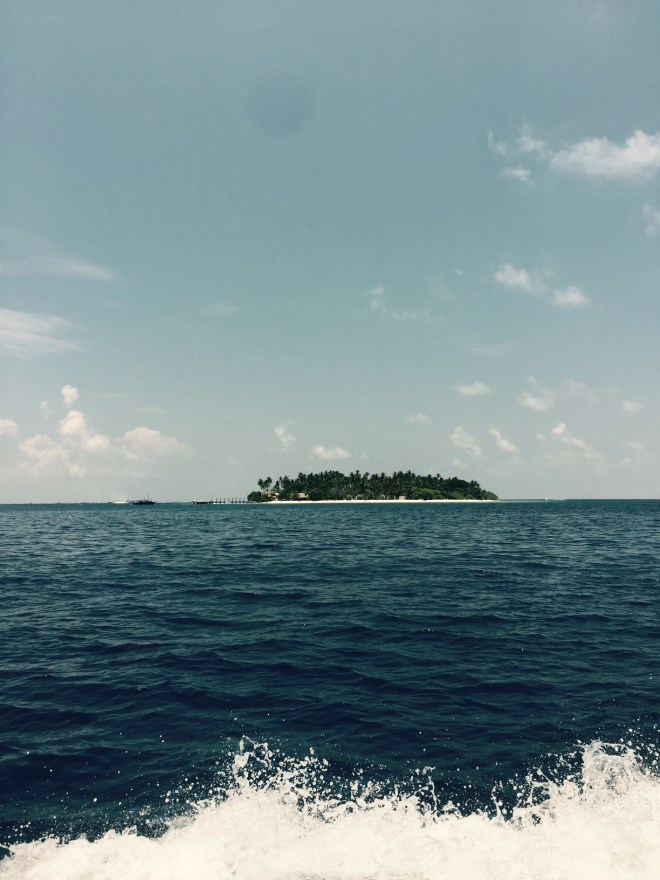 snorkeling4