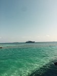 snorkeling5