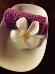 spa2