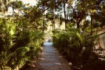 nomade1