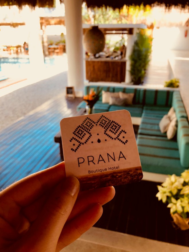 prana9