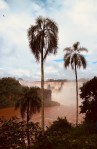 iguazu9