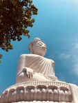 bigbuddha5
