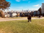 paintedladies16
